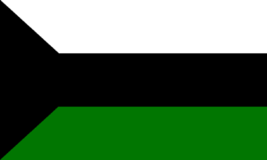 Bandera La joya de los Sanchas